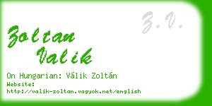 zoltan valik business card